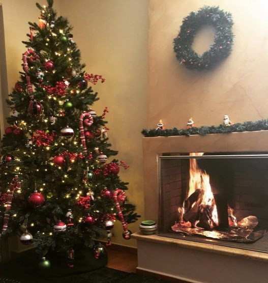 Γιώργος Γιαννιάς - Ελευθερία Παντελιδάκη: Δείτε το χριστουγεννιάτικο δέντρο που στόλισε το ζευγάρι