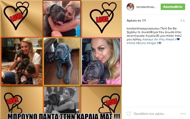 Η ανάρτηση της Κωνσταντίνας Σπυροπούλου στο Instagram για τον σκύλο της