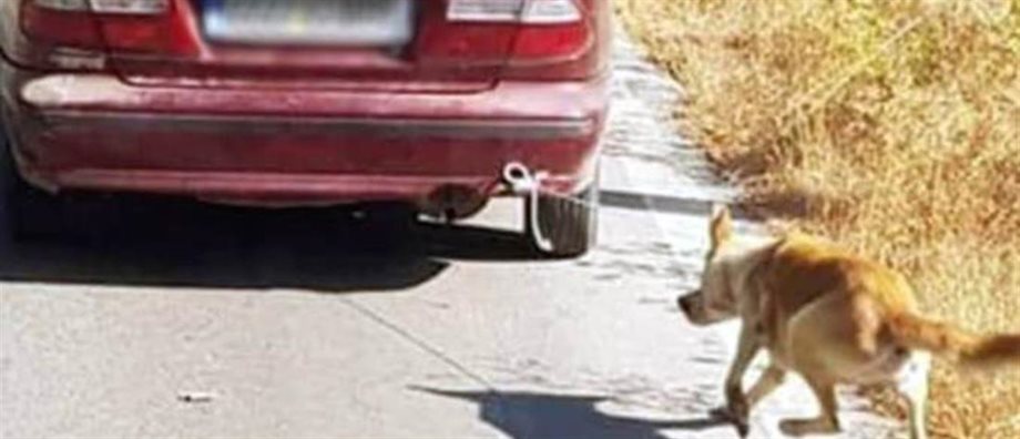 Εντοπίστηκε ο ιδιοκτήτης του αυτοκινήτου που έσερνε σκύλο στο δρόμο