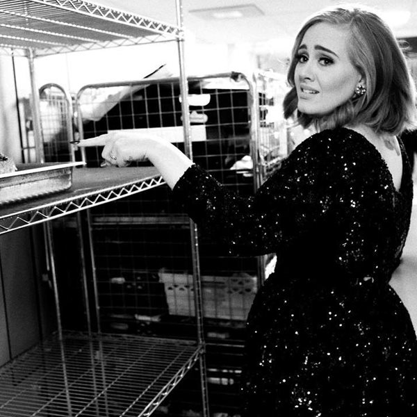 Αγνώριστη η Adele! Αδυνατισμένη, με μίνι φόρεμα γιορτάζει τα γενέθλιά της (Φωτό)
