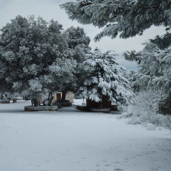 Γιάννης Καλλιάνος: Έρχεται χιόνι και στην Αττική - Η κακοκαιρία “Μήδεια” ξεκινάει από αύριο 