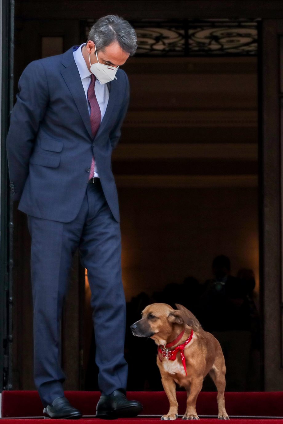 Κυριάκος Μητσοτάκης: Ο σκύλος του, Πίνατ, διέκοψε τη συνέντευξη Τύπου με τον πρωθυπουργό της Σλοβακίας