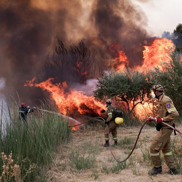 Φωτιά στην Ηλεία: Εγκλωβισμένα 150 άτομα στο χωριό Κλαδέος