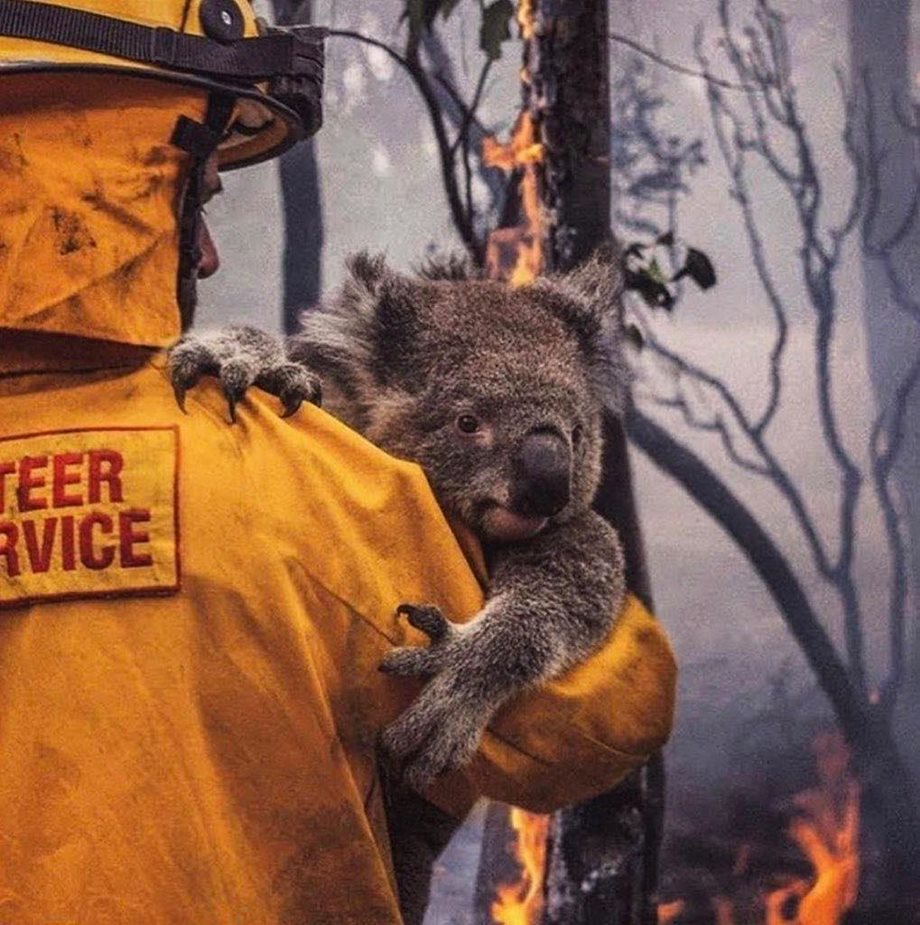 Αυστραλία – φωτιές: Ραγίζουν καρδιές οι φωτογραφίες και τα σκίτσα που κάνουν το γύρο του πλανήτη 