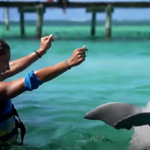 Survivor: Οργή στο Twitter για το έπαθλο με τα δελφίνια 
