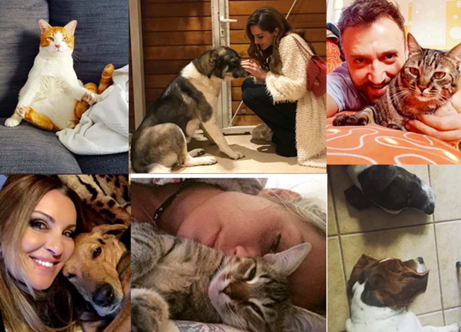 Παγκόσμια Ημέρα Αδέσποτων Ζώων: 11 celebrities που υιοθέτησαν ένα ζωάκι και έγιναν παράδειγμα προς μίμηση!