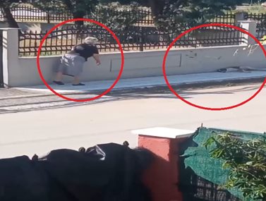 Σάλος με βίντεο που δείχνει 75χρονη να πετά το σιδερένιο μπαστούνι της σε αδέσποτο σκυλί