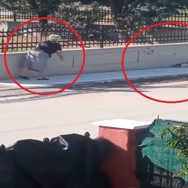 Σάλος με βίντεο που δείχνει 75χρονη να πετά το σιδερένιο μπαστούνι της σε αδέσποτο σκυλί