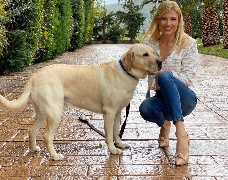Φαίη Σκορδά: Η αφοπλιστική απάντηση σε follower που της είπε πως πάει βόλτα τον σκύλο με το δωδεκάποντο
