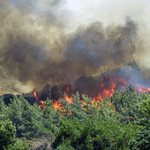 Δύο μεγάλες πυρκαγιές στη Λαμία – Πρόβλημα στα εναέρια μέσα από τις υψηλές θερμοκρασίες