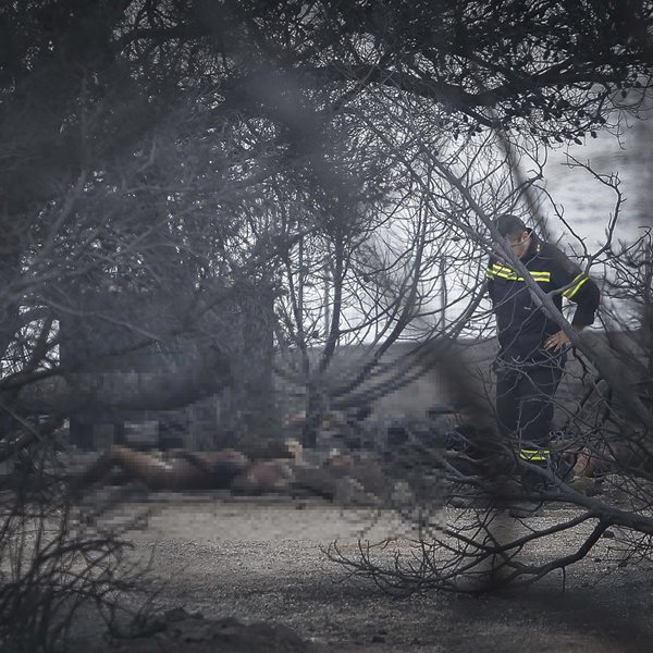 Εθνική τραγωδία: Έως τώρα 74 νεκροί από τις πυρκαγιές - Στους 188 οι τραυματίες