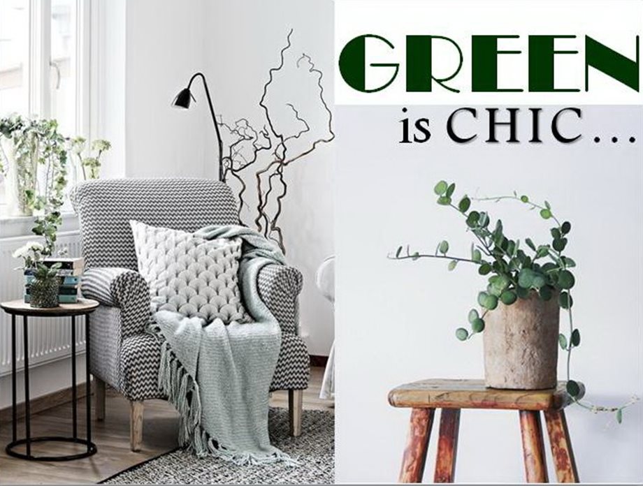 Green is chic! 3 τρόποι για να ομορφύνουμε το σπίτι μας αντλώντας έμπνευση από τη φύση…
