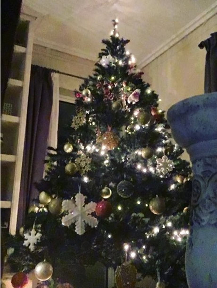 Η παρουσιάστρια του Alpha στόλισε το Χριστουγεννιάτικο δέντρο του σπιτιού της παρέα με τον αγαπημένο της