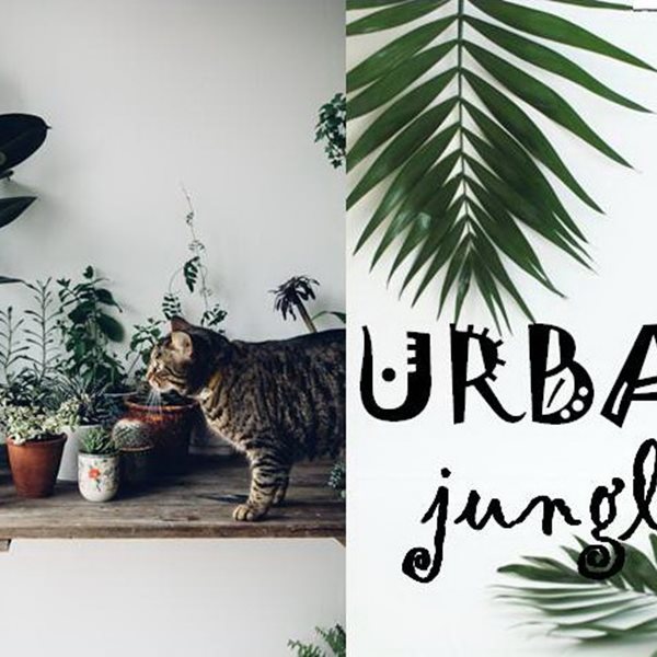Urban Jungle: Οι πιο όμορφες καταπράσινες συνθέσεις ever