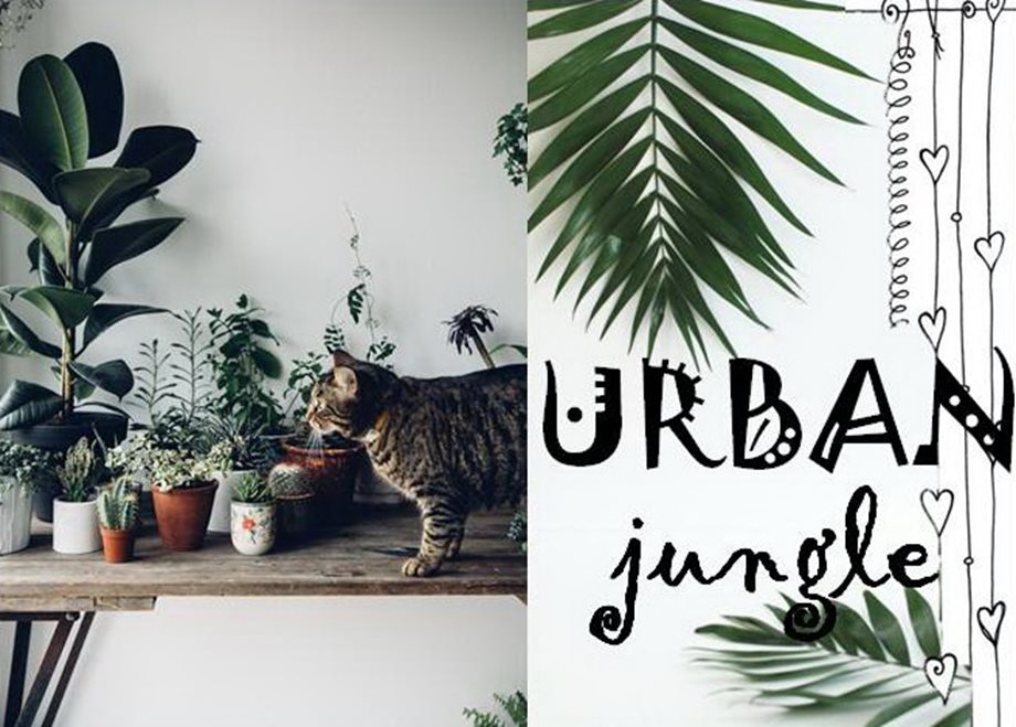 Urban Jungle: Οι πιο όμορφες καταπράσινες συνθέσεις ever