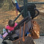 Η Ελληνίδα celebrity με την κορούλα της στον ζωολογικό κήπο!
