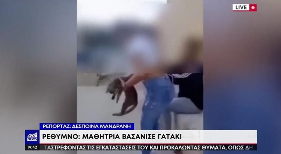 Κρήτη: Σάλος με την ανήλικη που κλώτσησε γάτα στο Ρέθυμνο- Το πρόστιμο που της επιβλήθηκε 