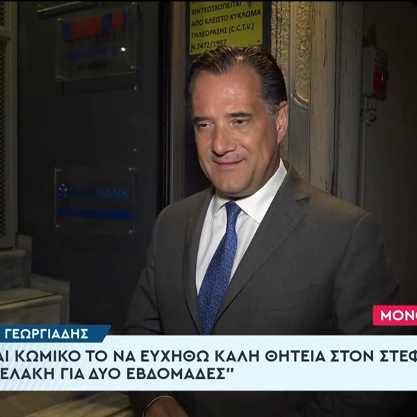 Ο Άδωνις Γεωργιάδης για τον Στέφανο Κασσελάκη: "Δεν είναι θητεία αυτό, είναι κωμωδία…το δούλεμα πάει σύννεφο"