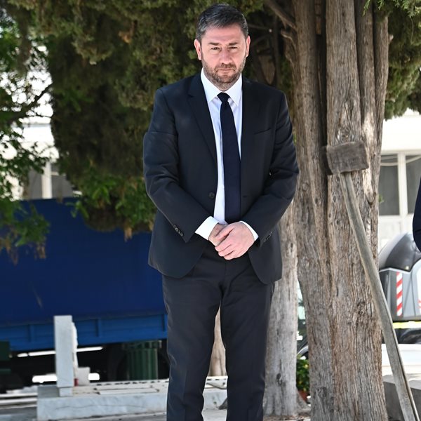 Νίκος Ανδρουλάκης: Επισκέφτηκε τον τάφο της Φώφης Γεννηματά και άφησε ένα λευκό τριαντάφυλλο