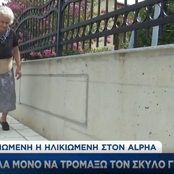 Θεσσαλονίκη: “Ήθελα μόνο να το τρομάξω” δηλώνει η ηλικιωμένη που πέταξε μπαστούνι σε σκύλο