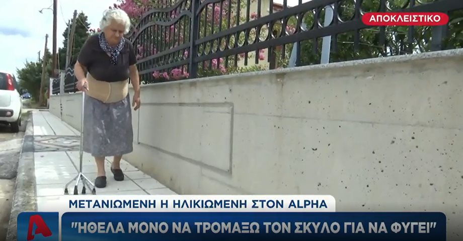 Θεσσαλονίκη: “Ήθελα μόνο να το τρομάξω” δηλώνει η ηλικιωμένη που πέταξε μπαστούνι σε σκύλο