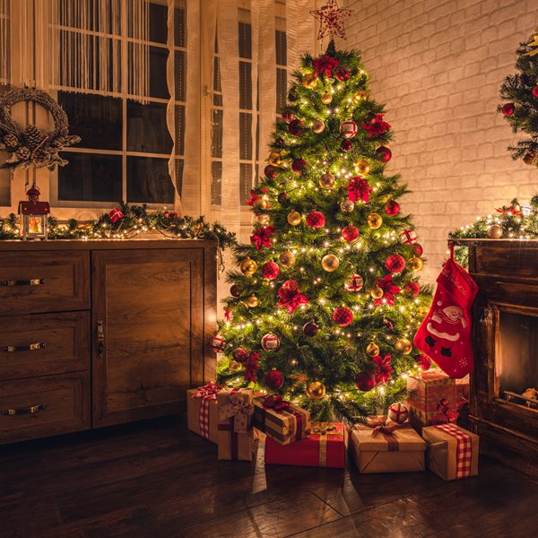 Η ιστορία του χριστουγεννιάτικου Δέντρου – Πώς έφτασε το έθιμο στην Ελλάδα