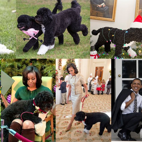 Οικογένεια Obama: Τα σκυλάκια τους είναι μια τρέλα!