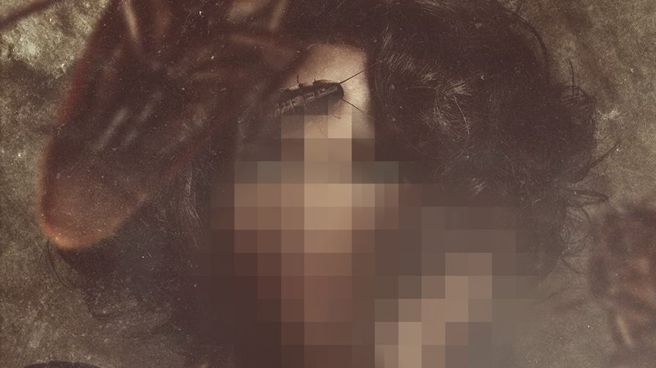 Ποια παρουσιάστρια φωτογραφήθηκε με κατσαρίδες στο πρόσωπό της!