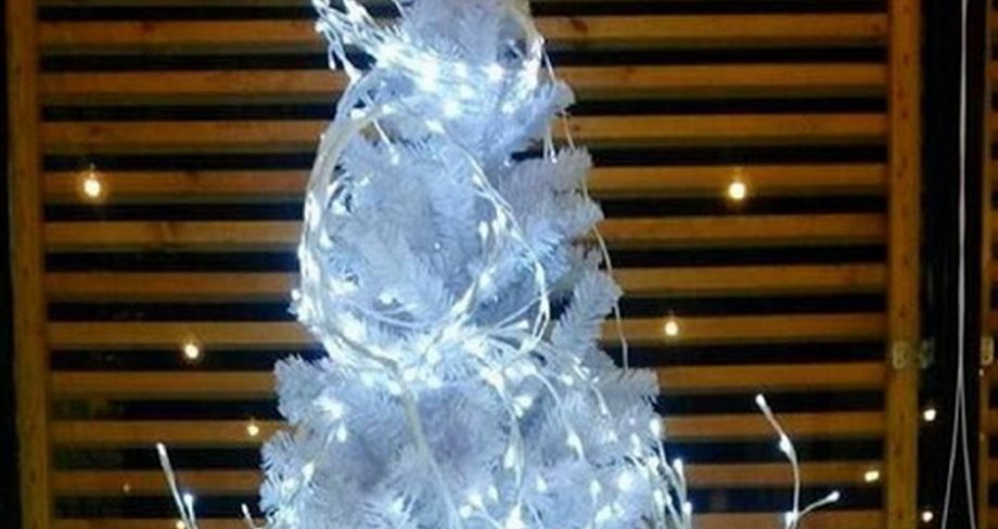 Η νέα μανούλα της ελληνικής showbiz καμαρώνει το εντυπωσιακό χριστουγεννιάτικο δέντρο της!