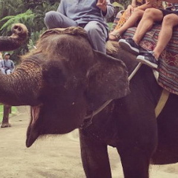 Το ζευγάρι της ελληνικής showbiz έκανε εξωτικό ταξίδι και ανέβηκε... στον ελέφαντα!