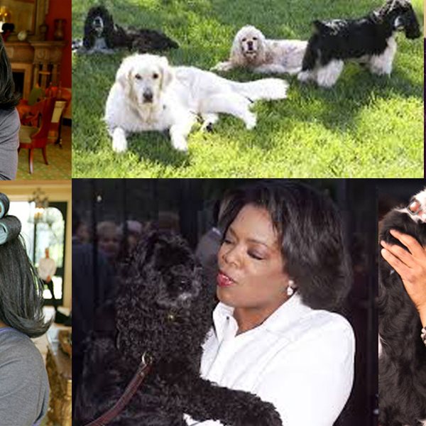 Oprah: Χαρούμενες στιγμές με το σκυλάκι της