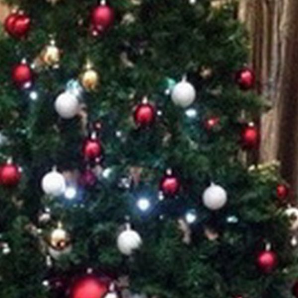 Ο πασίγνωστος celebrity στόλισε χριστουγεννιάτικο δέντρο με το γιο του και πόζαραν για μια selfie