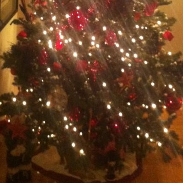 Ακόμη μια celebrity στόλισε Χριστουγεννιάτικο δέντρο, μόνο που από τη συγκεκριμένη περιμέναμε κάτι... περισσότερο