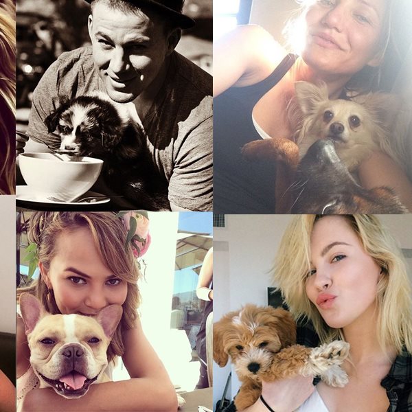 Οι celebrities μας συστήνουν τα pet τους μέσα από selfies