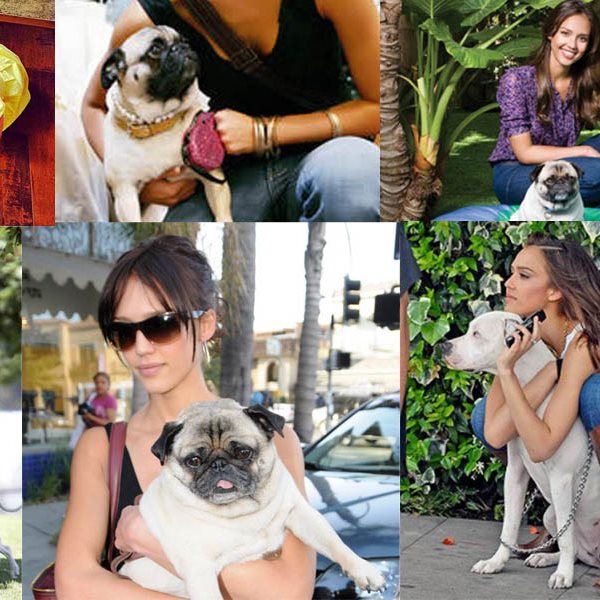 Jessica Alba: Δεν αποχωρίζεται ποτέ τα δυο της σκυλιά