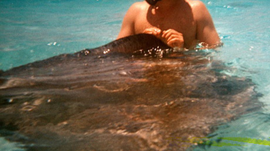 H Καλομοίρα Σαράντη μαζί με τον άντρα της, Γιώργο Μπούσαλη κολύμπησαν με σαλάχια & baby sharks