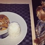 Η Ελληνίδα celebrity πήγε για φαγητό και το σκυλάκι της απόλαυσε το... επιδόρπιο