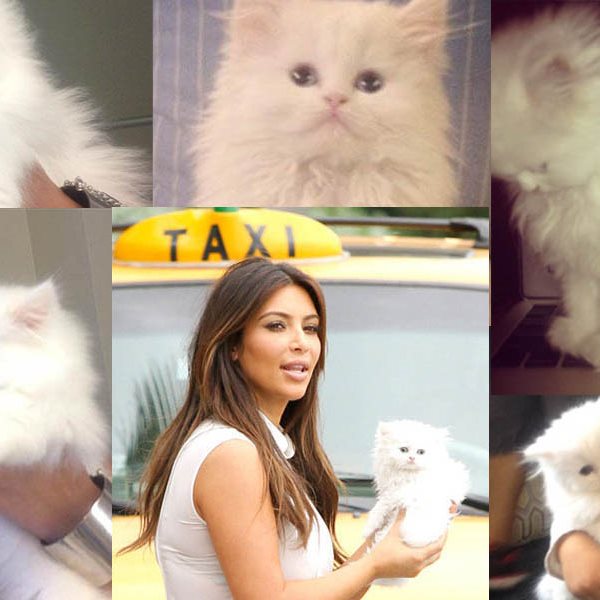 Kim Kardashian: Η αγαπημένη της γάτα, δώρο του Kanye West