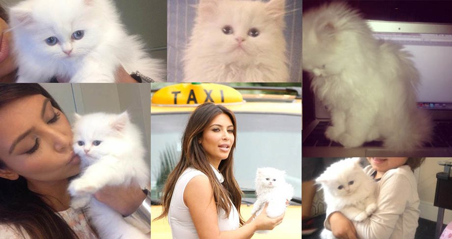 Kim Kardashian: Η αγαπημένη της γάτα, δώρο του Kanye West
