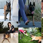 Eva Mendes: Τρυφερές στιγμές με το σκυλάκι της