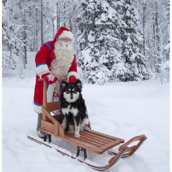 Ετοιμαστείτε για μια βόλτα στο Santa Claus Kingdom!