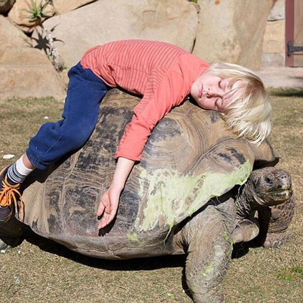 Επισκέφθηκαν το ζωολογικό πάρκο και ο γιος του ηθοποιού καβάλησε τη χελώνα