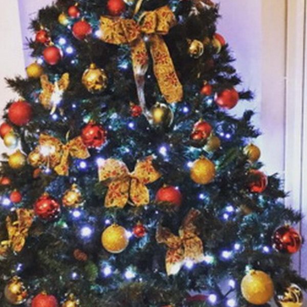 Η Ελληνίδα τραγουδίστρια στόλισε αυτό το πολύ εντυπωσιακό χριστουγεννιάτικο δέντρο!