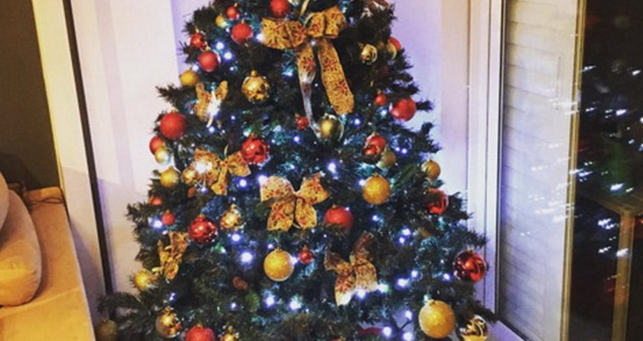 Η Ελληνίδα τραγουδίστρια στόλισε αυτό το πολύ εντυπωσιακό χριστουγεννιάτικο δέντρο!