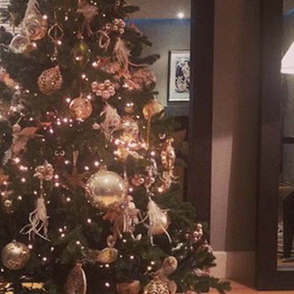 H νιόπαντρη Ελληνίδα παρουσιάστρια στόλισε το χριστουγεννιάτικο δέντρο με το σύζυγό της