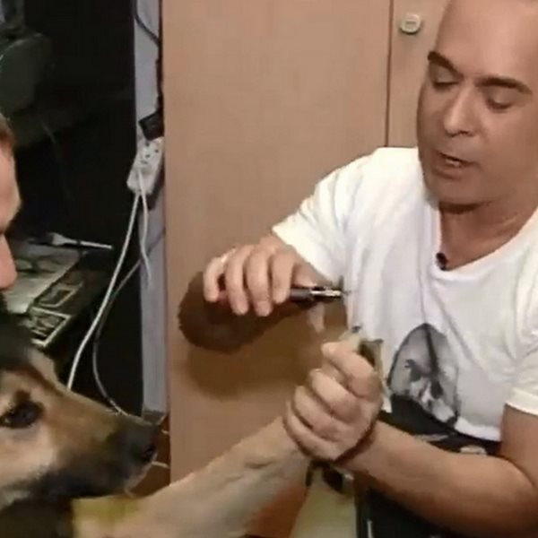 Ο Φώτης Σεργουλόπουλος κάνει πεντικιούρ σε σκυλιά (video)
