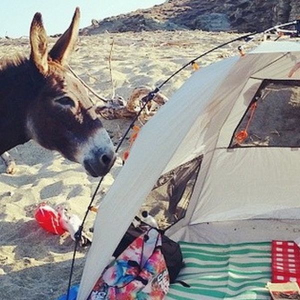 Η Ελληνίδα ηθοποιός έκανε camping στην παραλία και είχε μια απρόσμενη επίσκεψη...