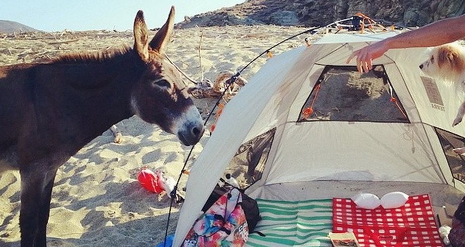 Η Ελληνίδα ηθοποιός έκανε camping στην παραλία και είχε μια απρόσμενη επίσκεψη...