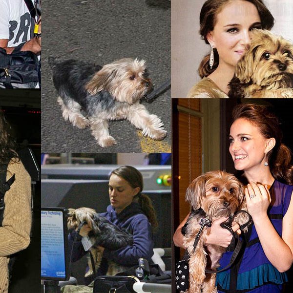 Natalie Portman: Το σκυλάκι της είναι η μεγάλη της αδυναμία