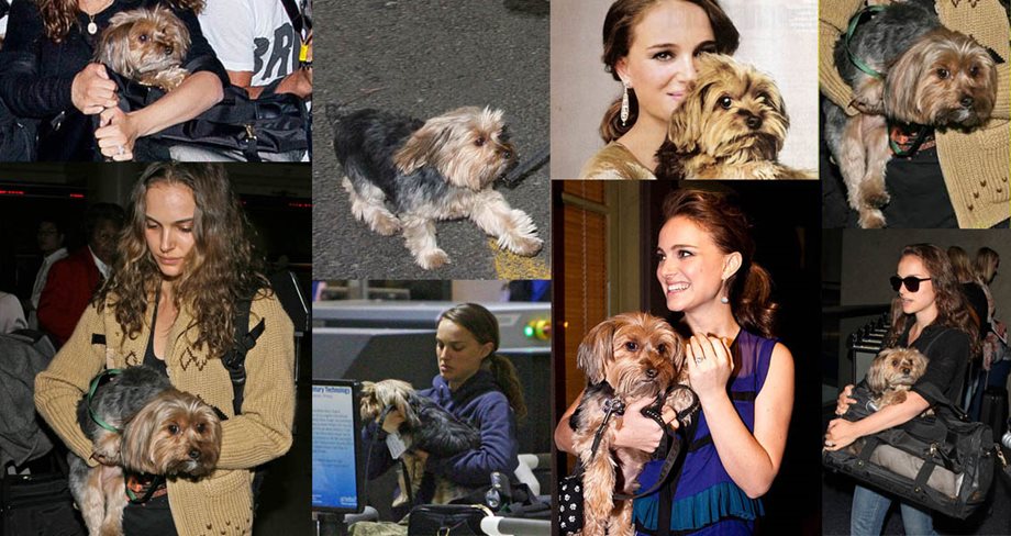 Natalie Portman: Το σκυλάκι της είναι η μεγάλη της αδυναμία